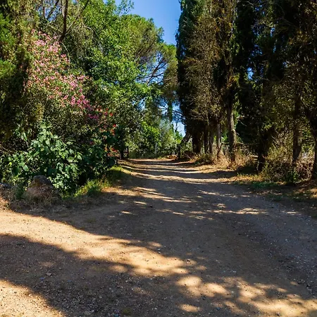 Moscatello - * Gavorrano